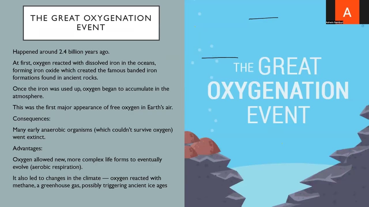 History of the Atmosphere-Presentation by Ashwin Namburi (Student Chemistry Dept-ibworldwideacademy
