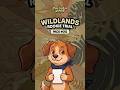 Can You Name These Animal Homes? | 🐾 Wildlands Quiz | Pack 012
