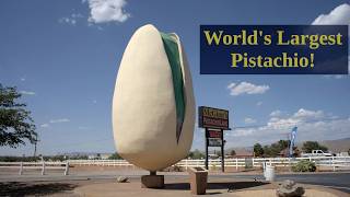 Visiting McGinn’s PistachioLand – Giant Nuts and Sweet Treats in New Mexico! 🥜🌵