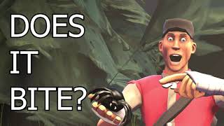 Scouts Nature Adventures: A Venomous Spider! [SFM]