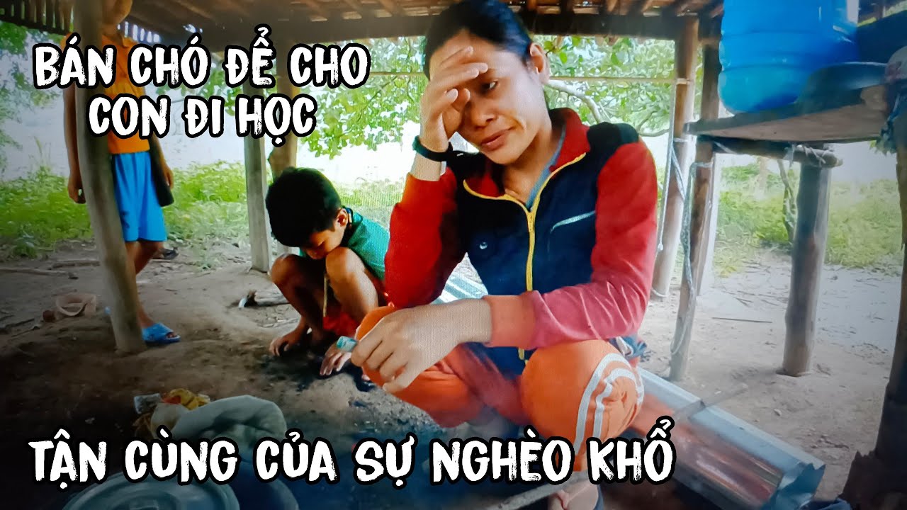 Gia đình nghèo bán tài sản duy nhất là con chó để cho... - youtube