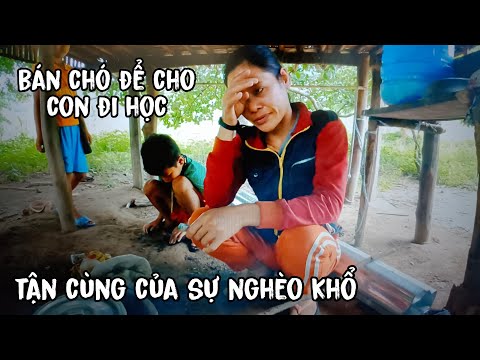 Video Gia đình nghèo bán tài sản duy nhất là con chó để cho... - youtube