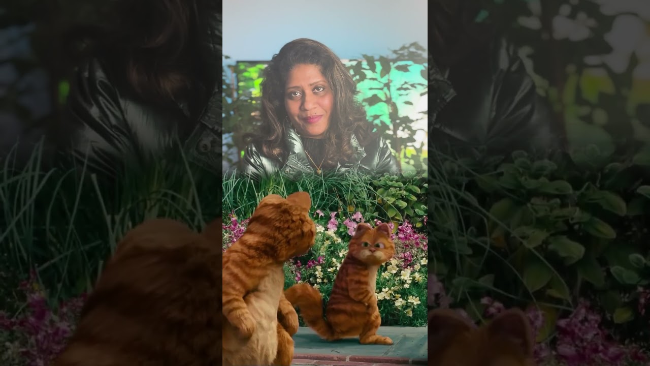 നിങ്ങൾ ഒരാളുമായി എങ്ങനെയാണ് കണക്ട് ചെയ്യുന്നത്/conneted