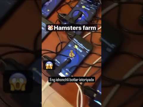 HAMSTERS FARM #shorts