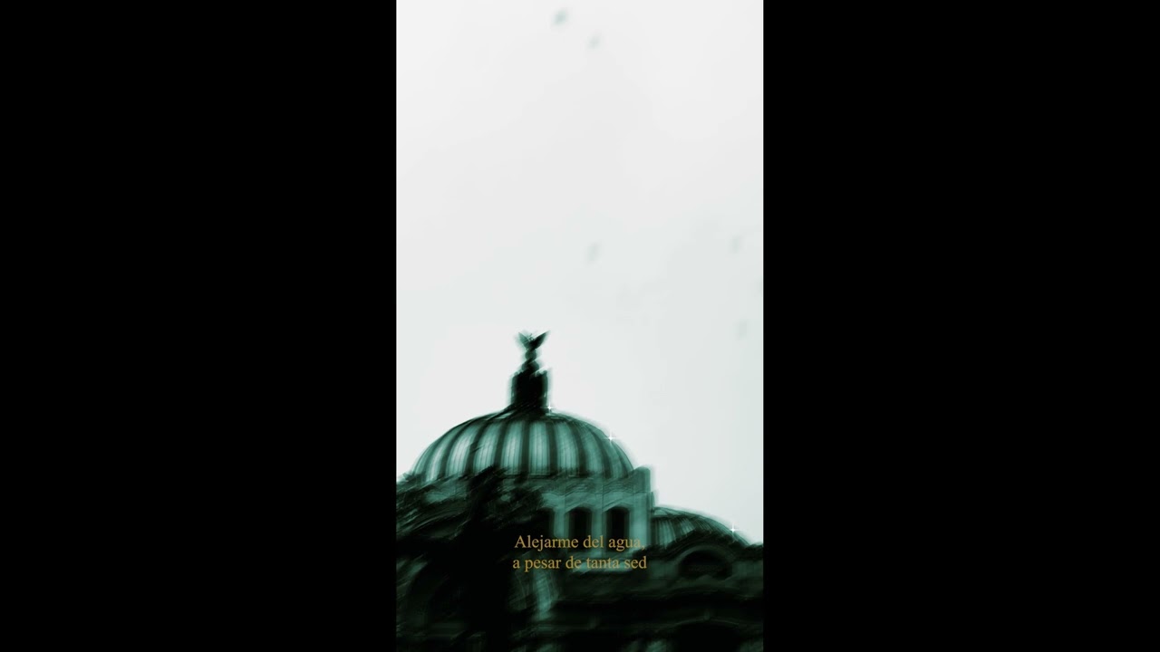 BULL MONTANA x MIEL NEGRA PROD. ELPEOR 