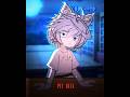Pit bull terrier😈#gacha #gachalife #memes #alightmotion #alaightmotionedit #edit #viral #fypシ゚viral