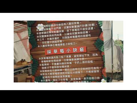 里港抓草莓尾巴！[Martin's VLOG | 馬丁日常]