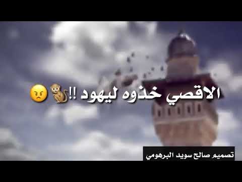 خميس ناجي فلسطين