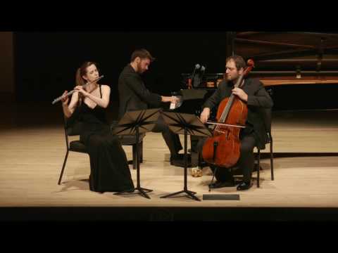 Weber, Flute Trio in G minor, Op 63, Emi Ferguson, Julian Schwarz, Peter Dugan