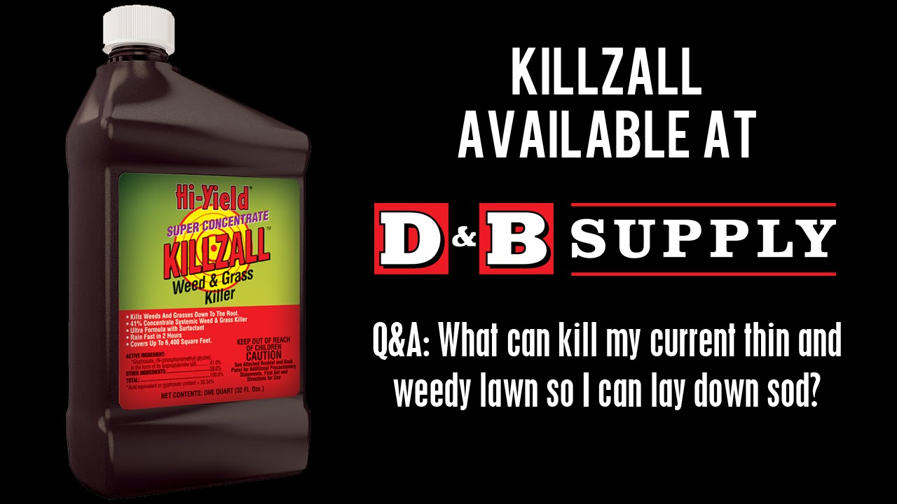 video phone beyonce mp3 What can kill my current thin and weedy lawn so I can lay down sod?