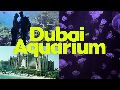 The Lost Chamber Aquarium @ The Atlantis | Dubai Vlog