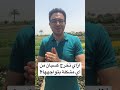 حل سحري لتحقيق مكاسب حقيقية من أي مشكلة بتواجهها الحياة القرآن النبي الاسلام