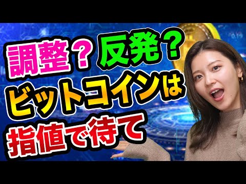 ビットコイン暴落は続く、でも今年1000万円になる!?【初心者向けのやり方】リップルやイーサリアムの運命と資産運用と金