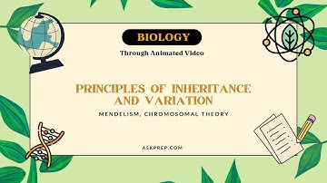 Principles of Inheritance & Variation | Mendel’s Laws, Chromosomal Theory | Class 12 Biology
