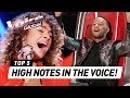 OUTSTANDING HIGH NOTES in The Voice