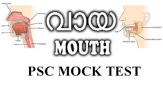 വായ / MOUTH/ DIGESTIVE SYSTEM/ HUMAN BODY/ PSC BIOLOGY MOCK TEST screenshot 4
