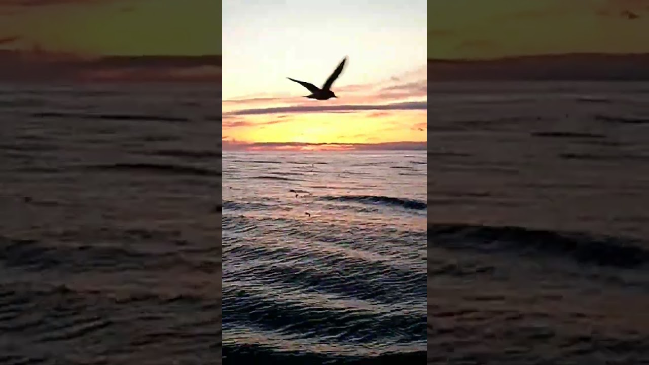 sunset on the bearing sea #sunsetview
