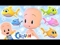 Cinco Baby Sharks 🦈 Canciones infantiles para bebés con Cleo y Cuquín