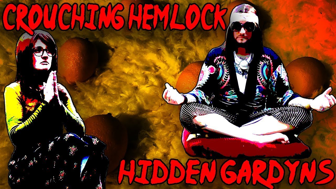 Crouching Hemlock Hidden Gardyns