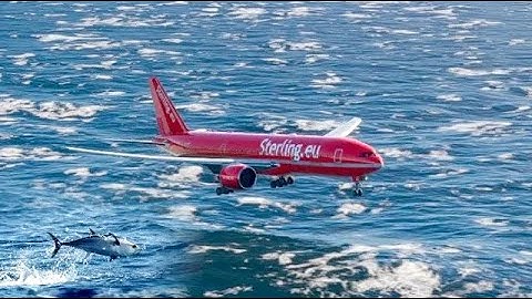 beautiful view of airplanes when landing eps.0072 Live Stream