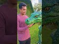 dragon 🐉🐉🐲🐲