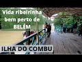 Onde o turista encontra floresta perto do centro de Belém do Pará - Ilha do Combu