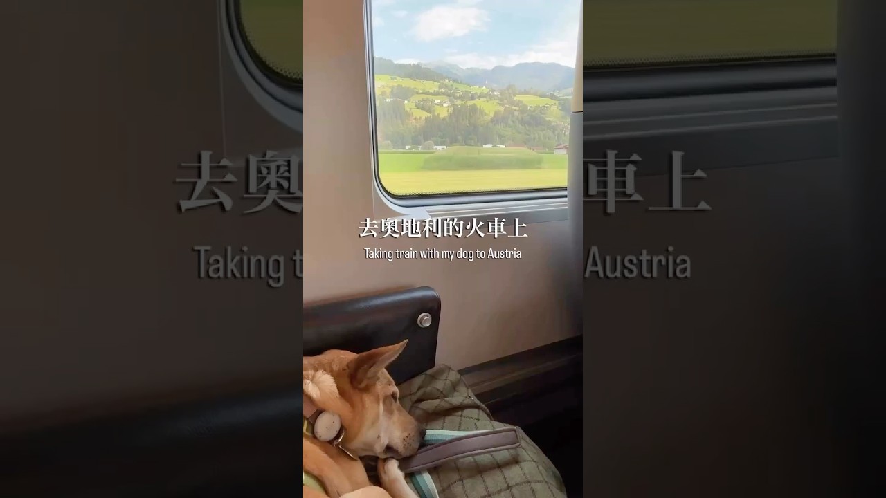 Dog-friendly trip to Innsbruck 跟狗狗搭夜車去因斯布魯克 縮圖