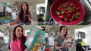 Aldi & Walmart Grocery Haul| Family of 4 by Rebekah Fohr 519 views 10 months ago 9 minutes, 29 seconds