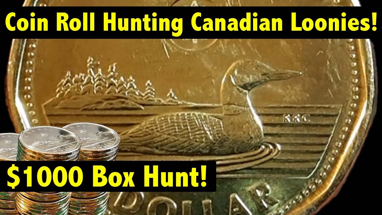 Coin Roll Hunting $1,000 in Canadian Loonies - Can we find a rare one?! 