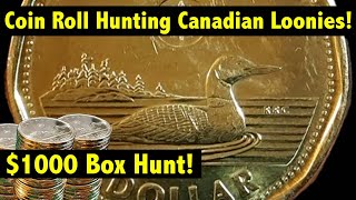 Coin Roll Hunting $1,000 in Canadian Loonies - Can we find a rare one?!