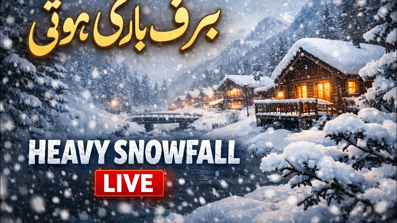 Heavy Snowfall Live in Kalam Swat | Beautiful Barfbari Scene ❄️ | Nature Live View