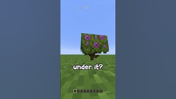 Can You Walk Under it? #shorts #minecraft
