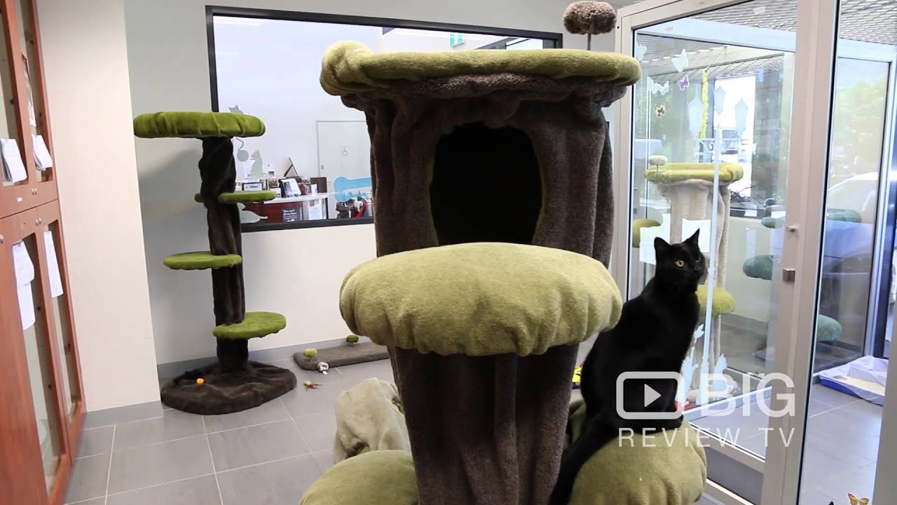 The Pets Hotel, Pet in Melbourne for Pet Boarding or for