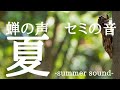 セミの声【立体音響】Best版　真夏の日