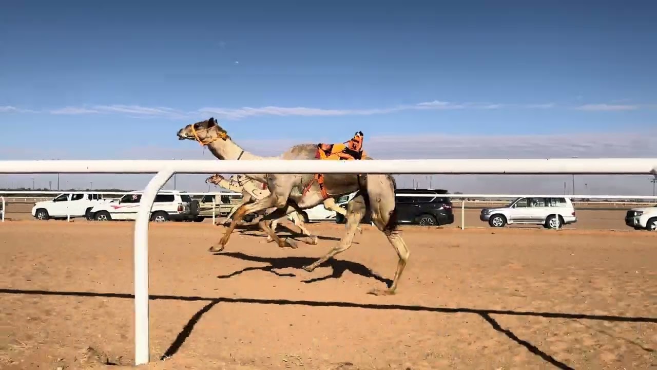ش 2 رئيسي زمول شاهين ل محمد عتيق المهيري 