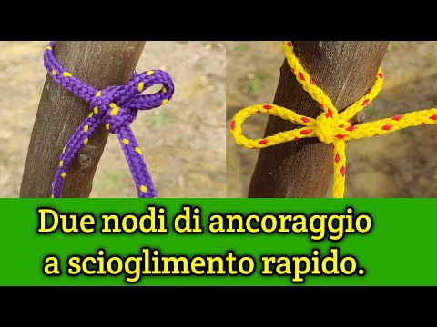 Nodi Di Ancoraggio A Scioglimento Rapido I Miei Preferiti