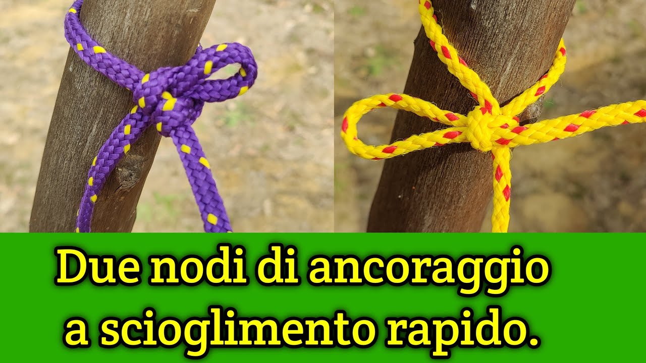 Lunghezze 1 3 5 10 Metri Cime Di Ormeggio Elastiche Per Barche Con Due Ganci 316, 4 Piedi Corda Marina Per Cime