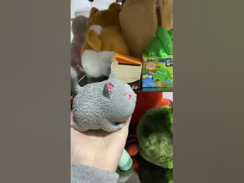 Классный Антистресс кошка #игрушки #антистресс #кошки #мягкиеигрушки # ...