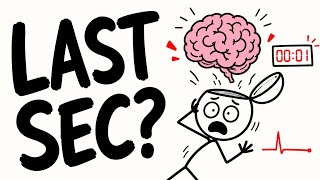 What Happens to Your Brain 1 Second Before You Die.