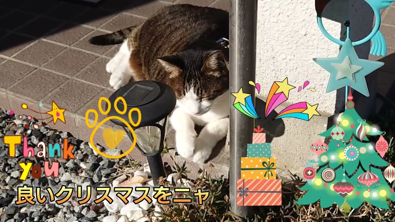 雨の日のねこ様☆メリークリスマス☆ V/A みんなでメリークリスマス KX-51 | レコード買取