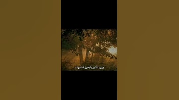 وَاللَّهُ يُرِيدُ أَنْ يَتُوبَ عَلَيْكُمْ |محمد صديق المنشاوي | سورة النساء