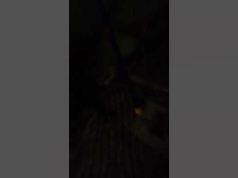 обещьяна - YouTube
