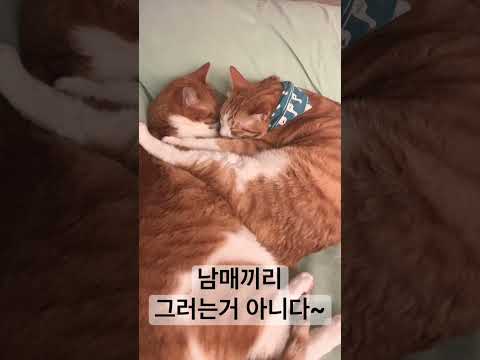 남매끼리 그러는거 아니다~~