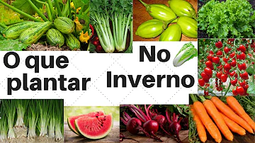 O que posso plantar agora?