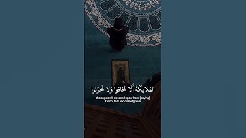 تلاوه هادئه تريح الاعصاب 🌺 #قران_كريم #quran #قرآن #تلاوه #المصحف #اكسبلور