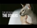The voynich code  the others official music