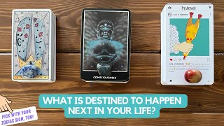 What is Destined to Happen Next in Your Life? | Timeless Reding