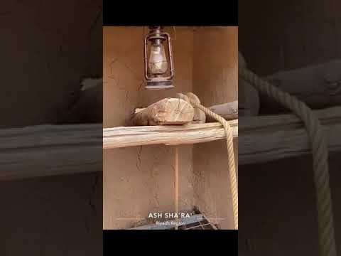 احفاد الشيخ مهنا بن عبدالله بن سعد اليابس يقومون بالبدء بترميم داره الواقعة في شمال الشعراء