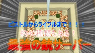 【銃サーバー】銃を使ってPVPをするサーバー！！【サーバー紹介】 screenshot 2