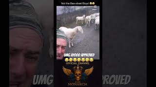 We Present The Baa-Street Boys